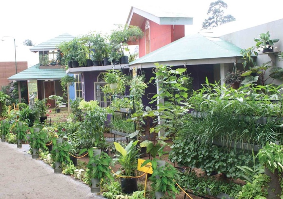 ශ්‍රී ලංකාවේ නාගරික කෘෂිකර්මාන්තය ආහාර සුරක්ෂිතතාවය: ප්‍රතිපත්ති සහ නිර්දේශ