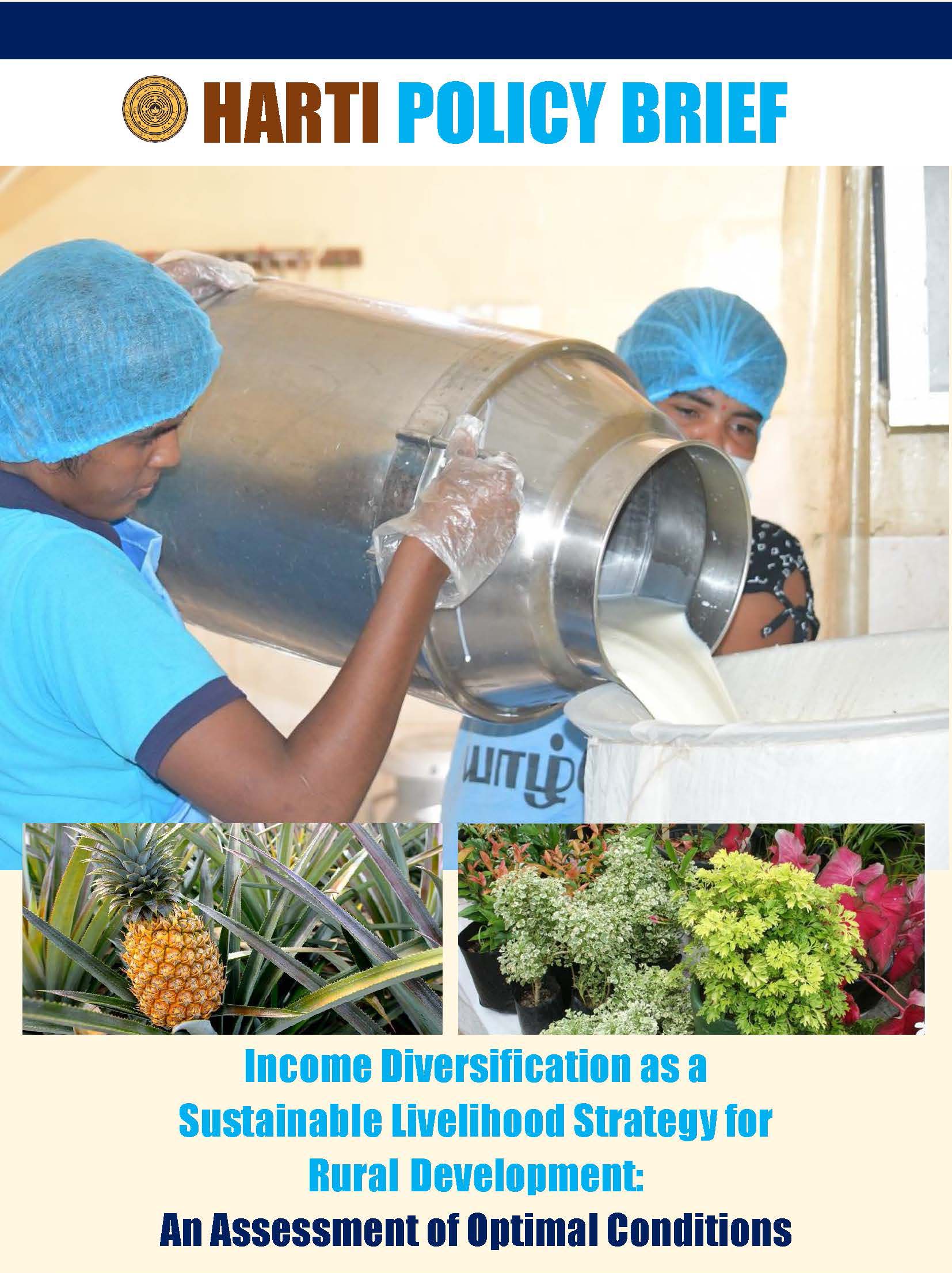 HARTI Policy Brief on Income Diversification